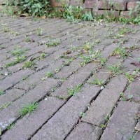 Afbeelding 1 groter tonen